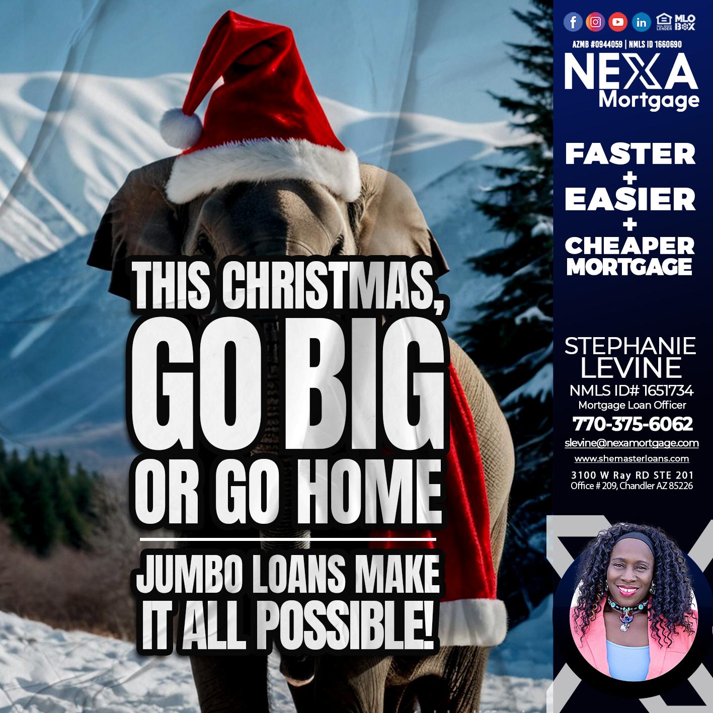 GO BIG - Stephanie Levine -Mortgage Loan Officer