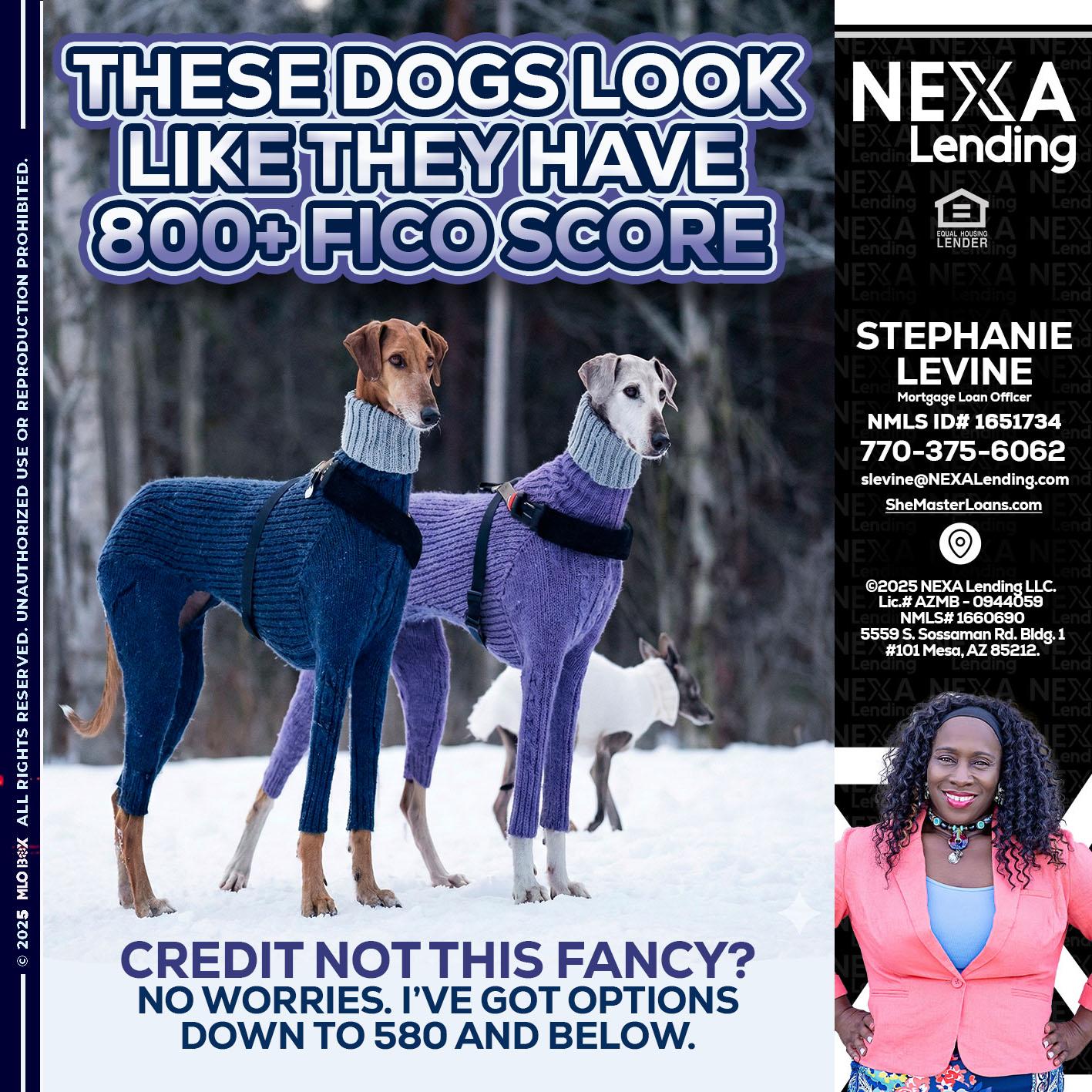 THESE DOGS LOOK - Stephanie Levine -Mortgage Loan Officer